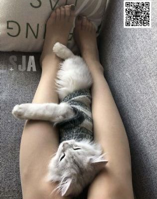 为有暗香来电视剧免费观看