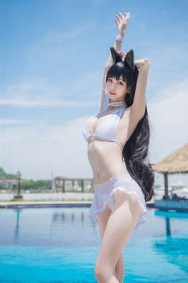 完美伴侣
